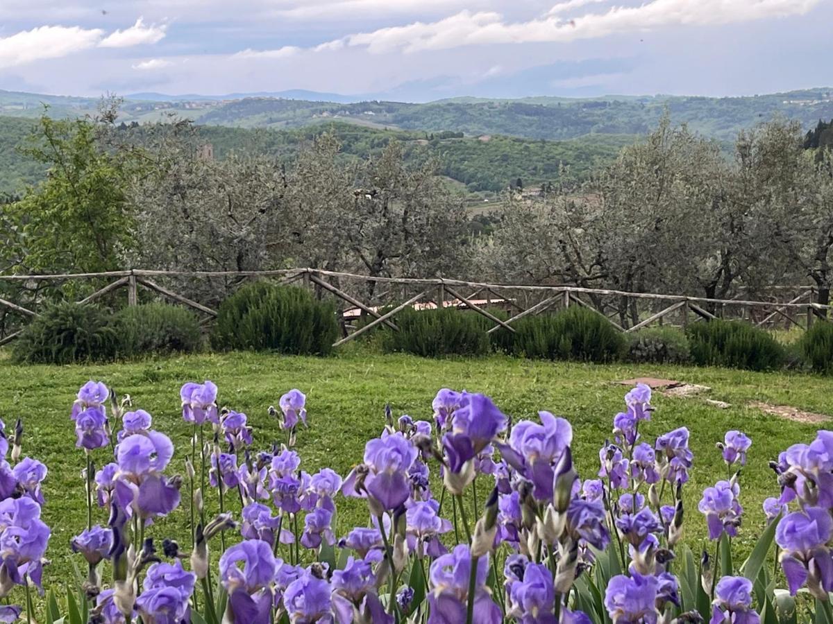 Il Fiorino Di Badia Lägenhet Badia A Passigano Exteriör bild