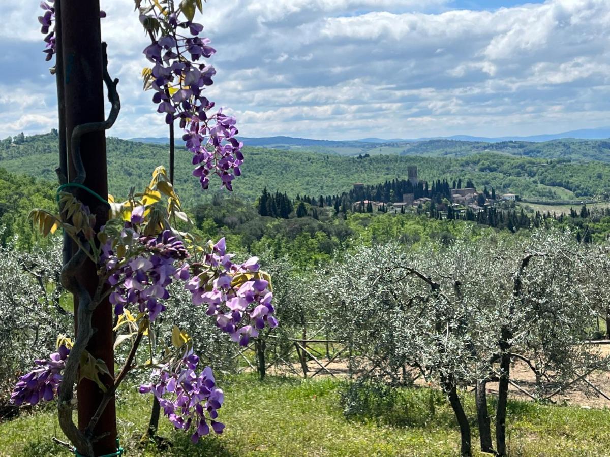 Il Fiorino Di Badia Lägenhet Badia A Passigano Exteriör bild