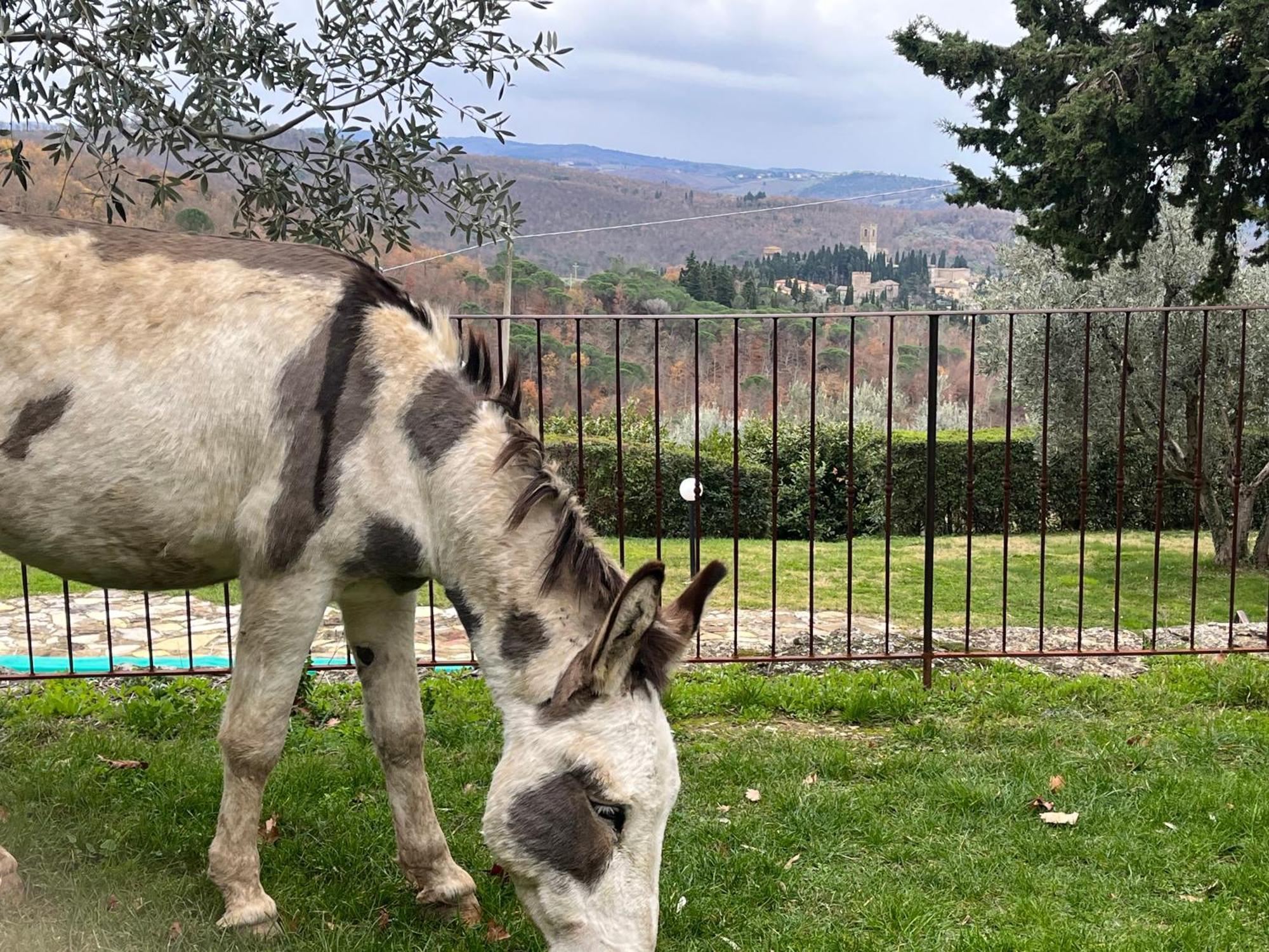 Il Fiorino Di Badia Lägenhet Badia A Passigano Exteriör bild