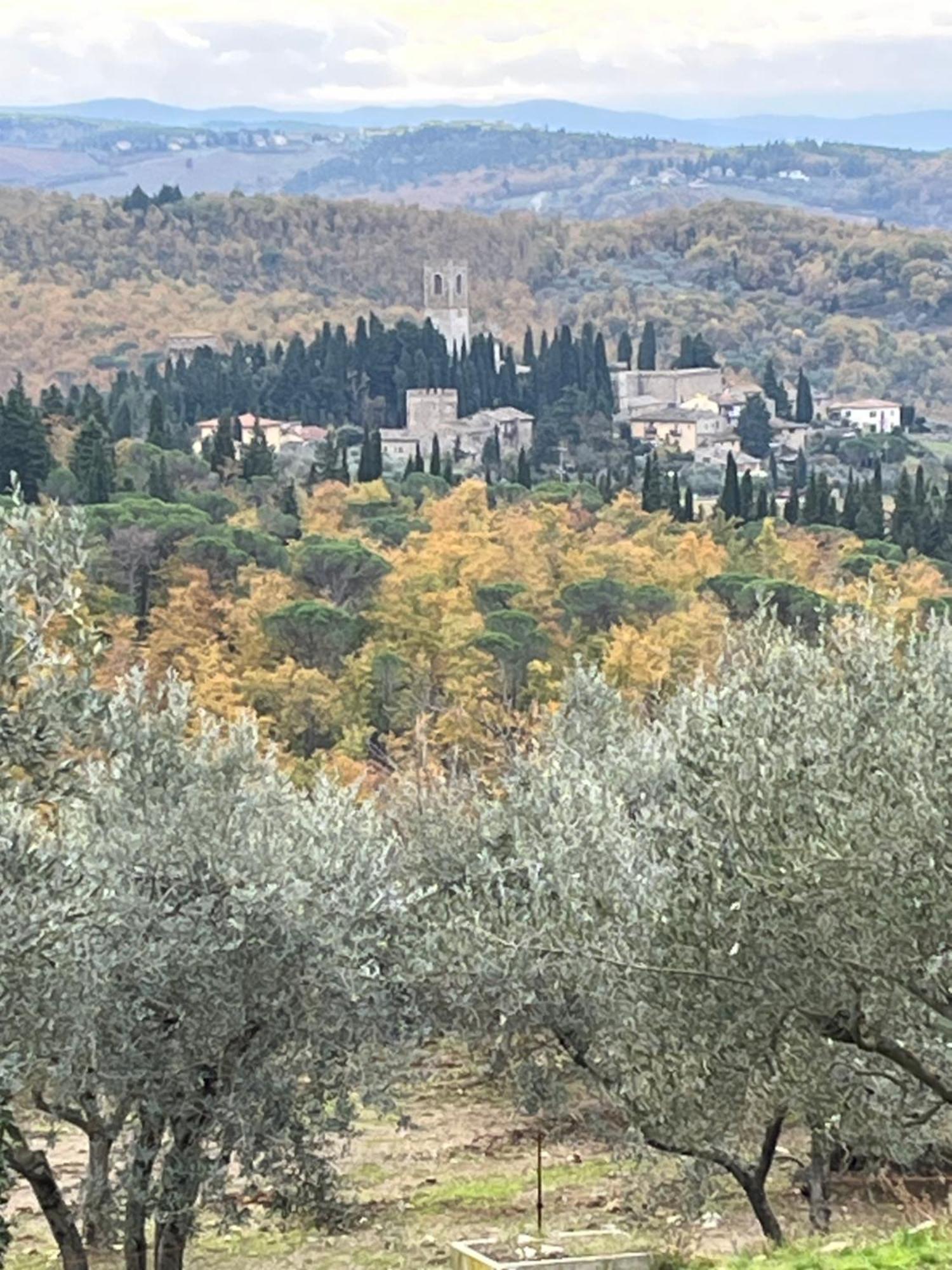 Il Fiorino Di Badia Lägenhet Badia A Passigano Exteriör bild