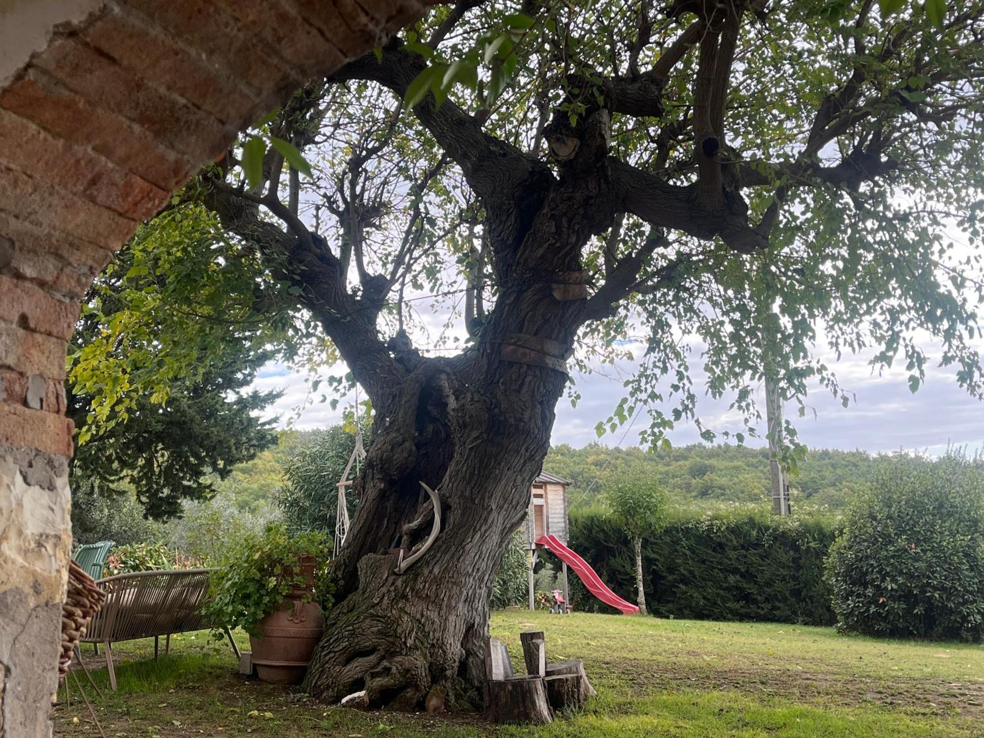 Il Fiorino Di Badia Lägenhet Badia A Passigano Exteriör bild